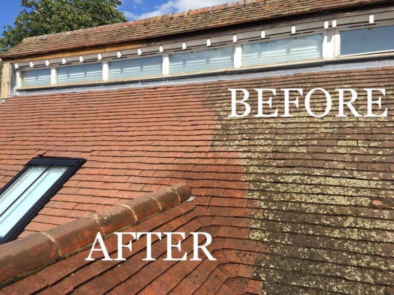 RoofCleaning.ch brand – expert in roof and solar panel cleaning