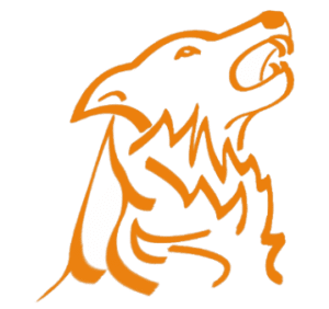 RoofCleaning.ch brand logo