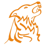 RoofCleaning.ch brand logo