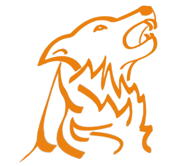 RoofCleaning.ch brand logo