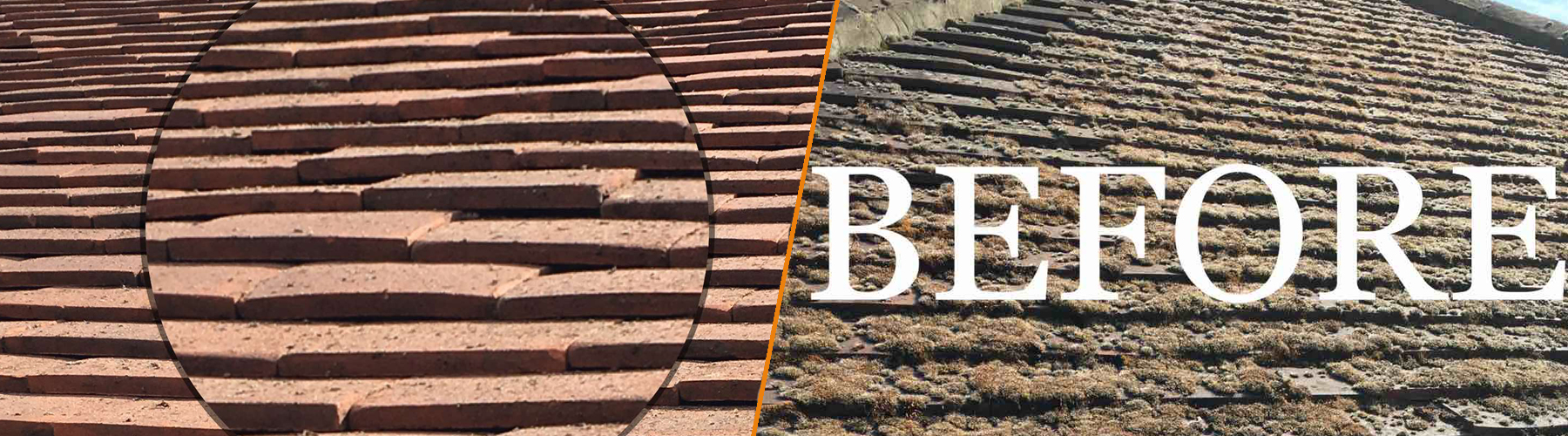 Professional moss removal – before and after roof cleaning